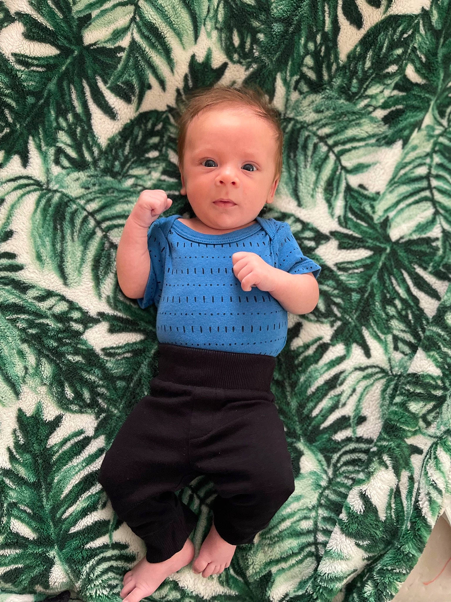 Kayden is registered to the contest to win money with this photo: adaptation, aqua, azure, baby, baby_toddler_clothing, beauty, botany, eye, grass, green, happy, people_in_nature, person, skin, sleeve, standing, t_shirt, terrestrial_plant, textile, toddler