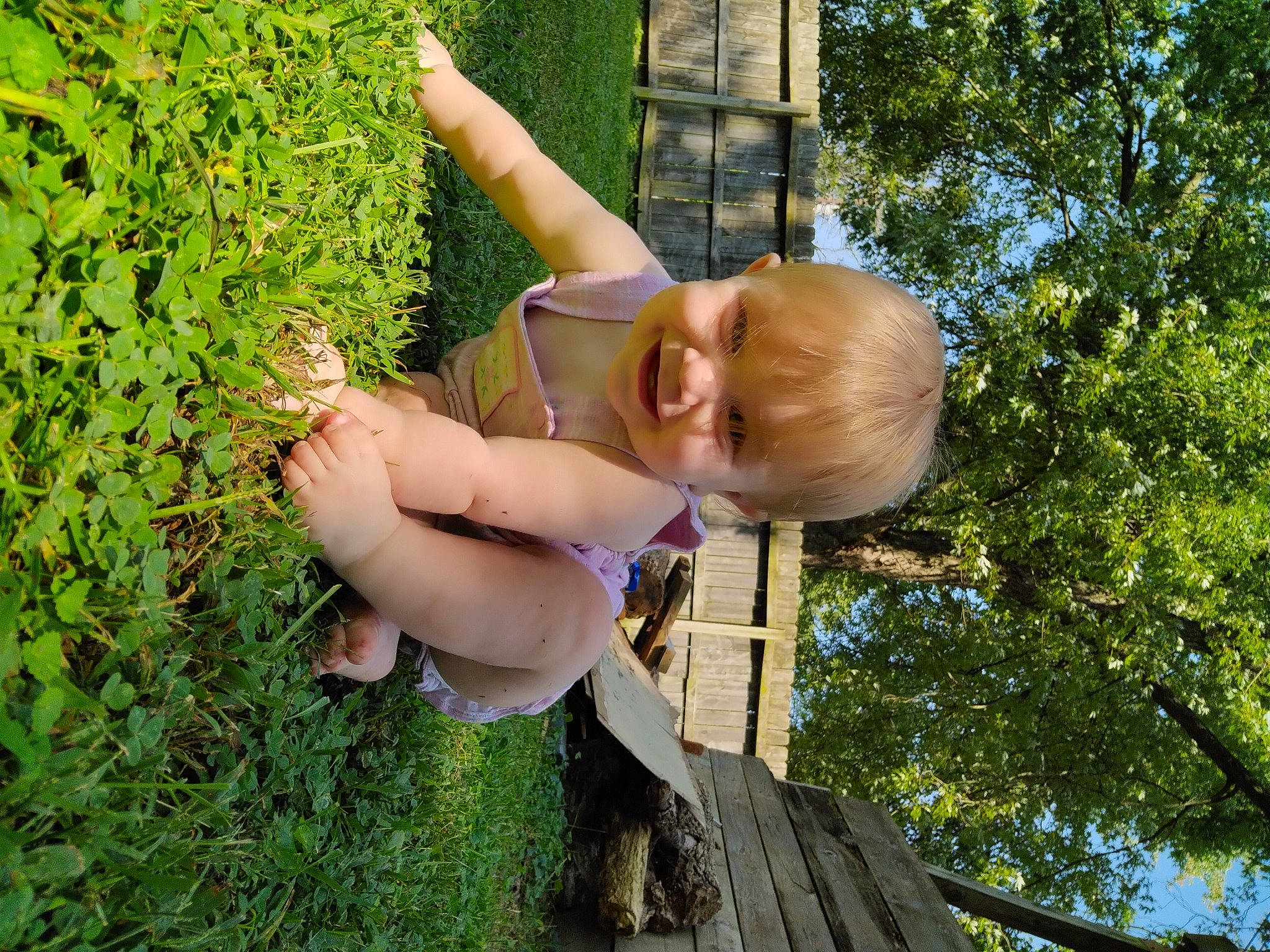 Charlee joined the competition — help win amazing prizes! baby_laughing, barechested, child, fun, garden, glasses, grass, happy, joy, leisure, people_in_nature, person, plant, play, recreation, sitting, sky, smile, summer, toddler