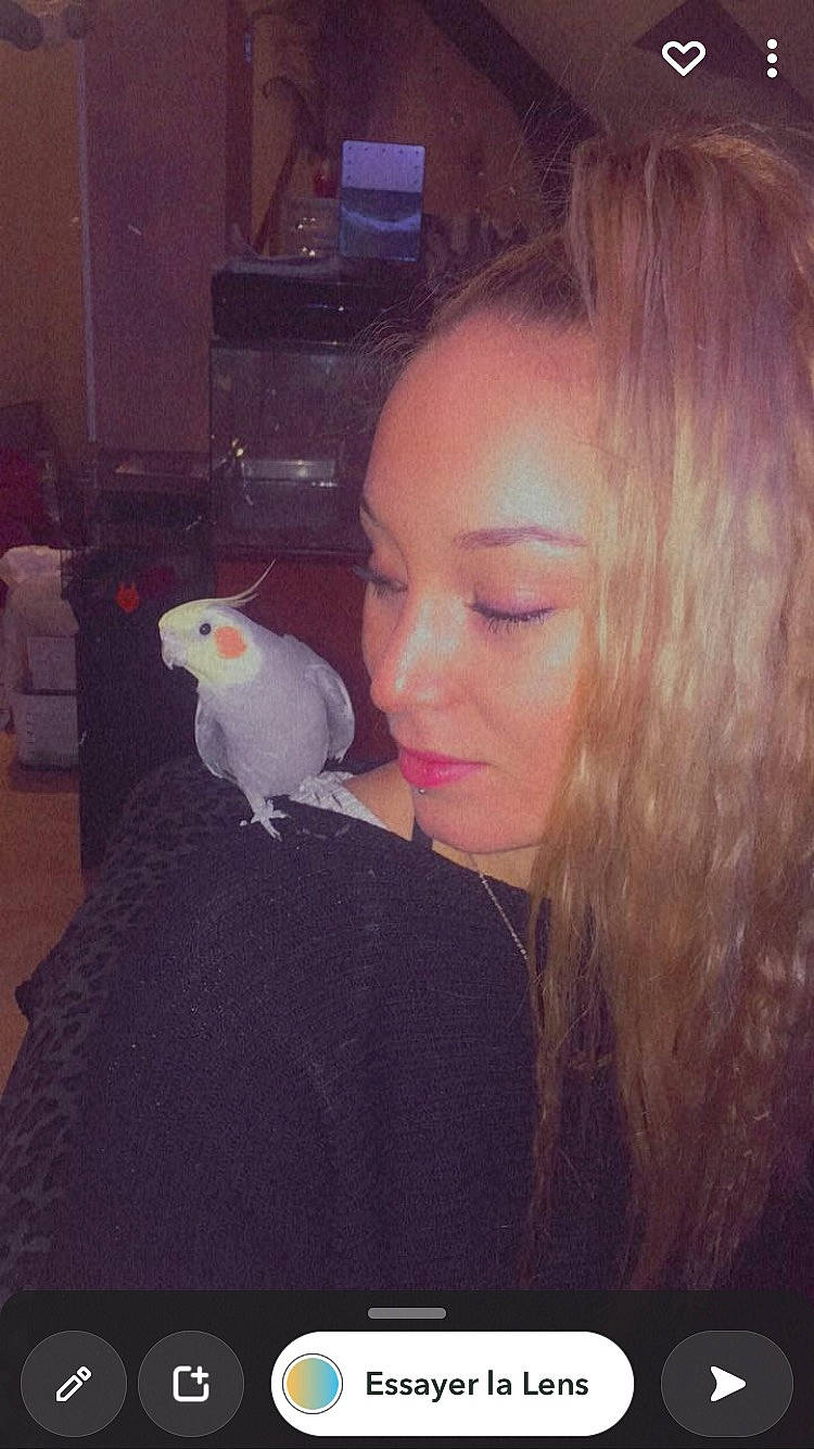 Kikipoo participe au concours pour gagner de l'argent avec cette photo : beak, bird, brown_hair, cockatiel, cockatoo, eyelash, feather, fun, fur, iris, layered_hair, lip, magenta, mouth, neck, nose, parakeet, parrot, tail, wing