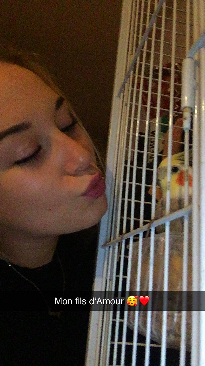 Kikipoo participe au concours pour gagner de l'argent avec cette photo : acoustic_guitar, animal_shelter, art, cage, eyelash, folk_instrument, guitar_accessory, music, musical_instrument, musical_instrument_accessory, musician, plucked_string_instruments, string_instrument, string_instrument_accessory, throat