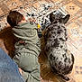 Krypto is registered to the contest to win money with this photo: animal, back_view, casual, child, companionship, dog, floor, green_clothing, home, indoor, kid, lying_down, patterned_floor, pet, quiet_moment, relaxing, resting, spotted_dog, tile_floor, together