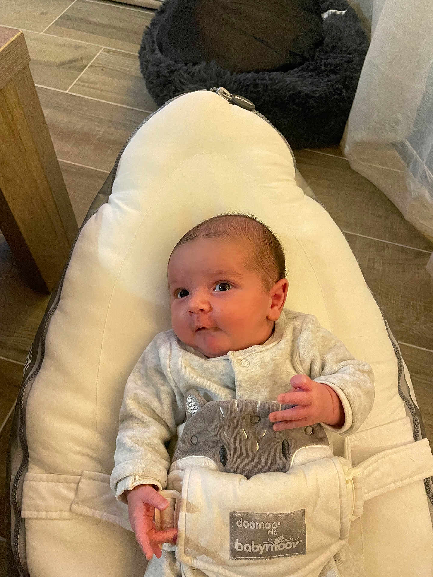 Elyo participe au concours pour gagner de l'argent avec cette photo : baby, infant, baby_seat, cushion, soft_toy, clothing, indoor, floor, wooden_floor, hand, face, head, eyes, curious, comfortable, baby_accessory, baby_bedding, newborn, cute, relaxing