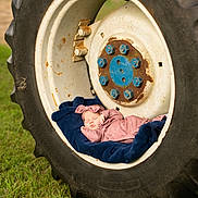 Audrie joined the competition — help win amazing prizes! alloy_wheel, automotive_tire, automotive_wheel_system, circle, fender, grass, hubcap, locking_hubs, motor_vehicle, plant, rim, rolling, spoke, synthetic_rubber, tire, tire_care, tread, vehicle, wheel, wood