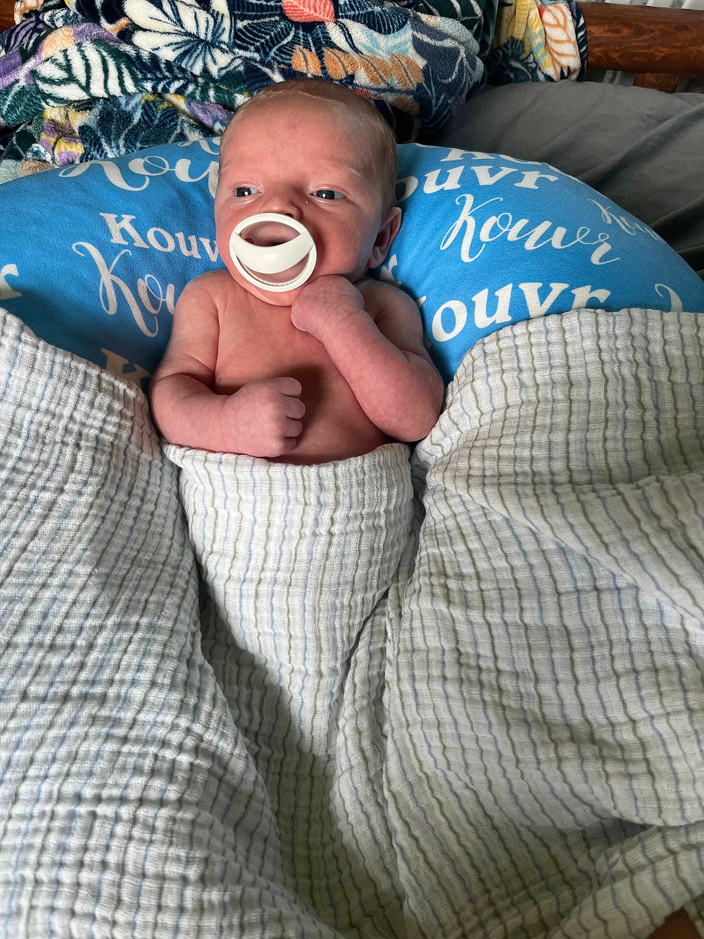 Christopher is registered to the contest to win money with this photo: baby, newborn, blanket, pacifier, cushion, infant, bed, sleeping, soft, comfort, rest, child, wrapped, clothing, portrait, head, skin, hand, lying, indoor