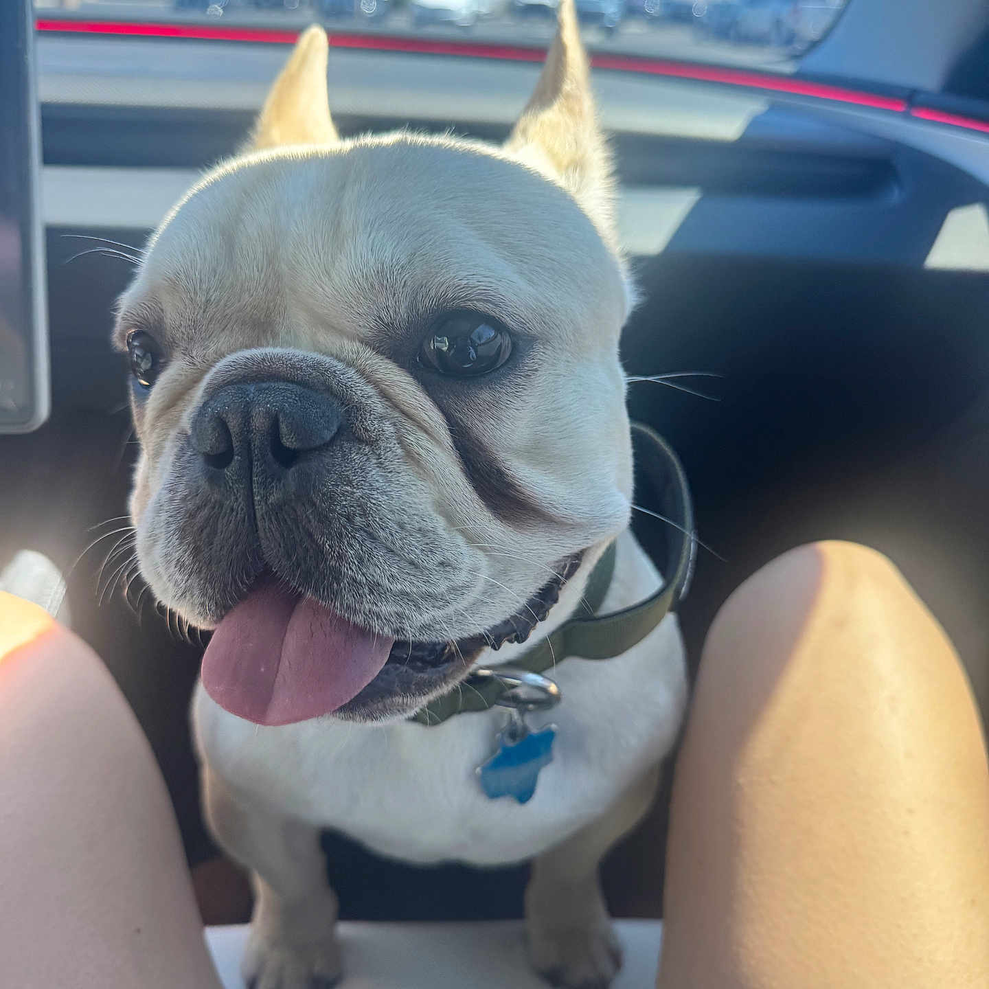 Peanut