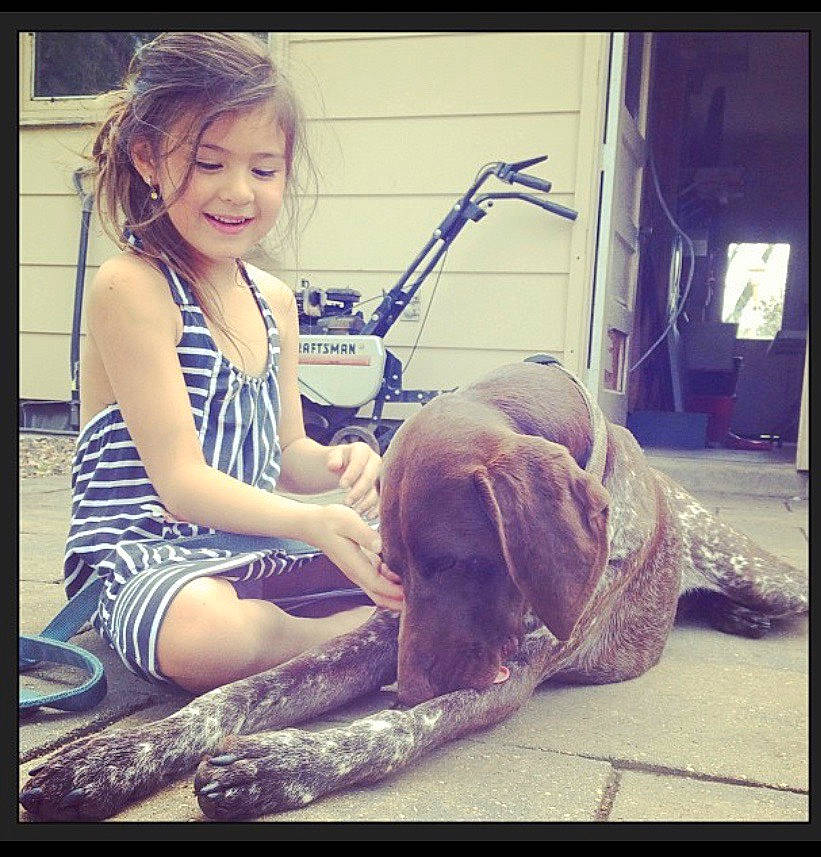 Griffin joined the competition — help win amazing prizes! canidae, carnivore, companion_dog, dog, ear, happy, human, long_hair, love, pointing_breed, puppy_love, sitting, smile, sporting_group, weimaraner