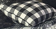 Cooper joined the competition — help win amazing prizes! dog, black_dog, pillow, checkered_pattern, blanket, couch, furniture, indoor, cozy, fabric, texture, soft, pet, resting, camouflage, home, comfort, quiet, relaxation, animal