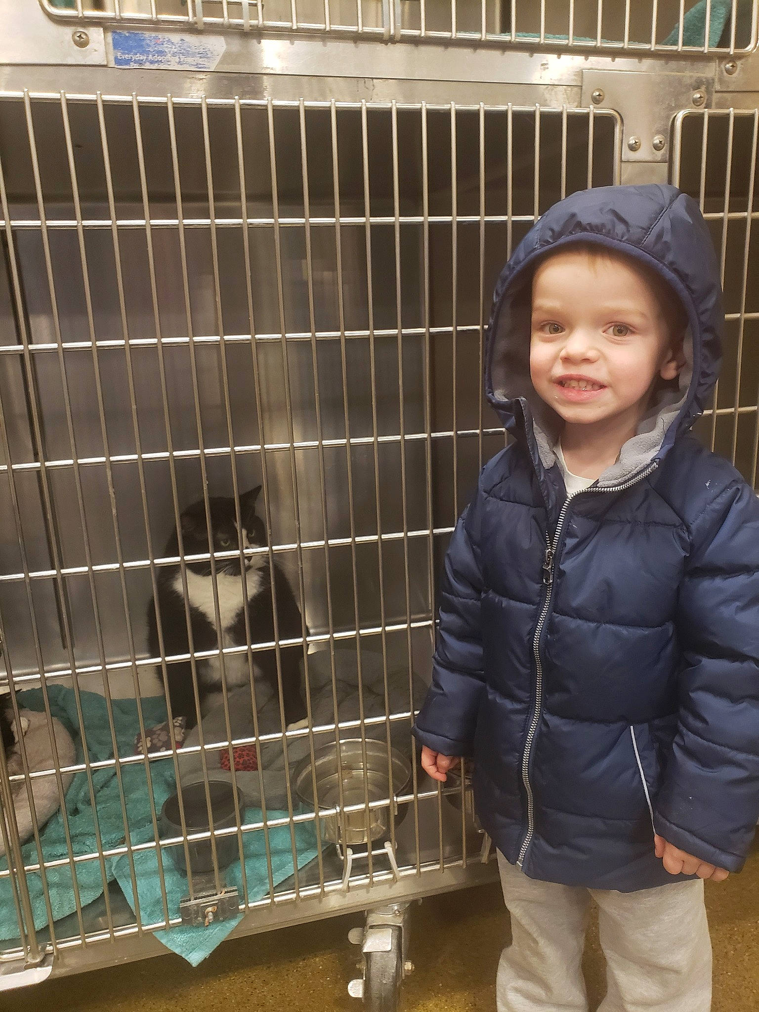 Karsyn is registered to the contest to win money with this photo: animal_shelter, cage, kennel, person, zoo