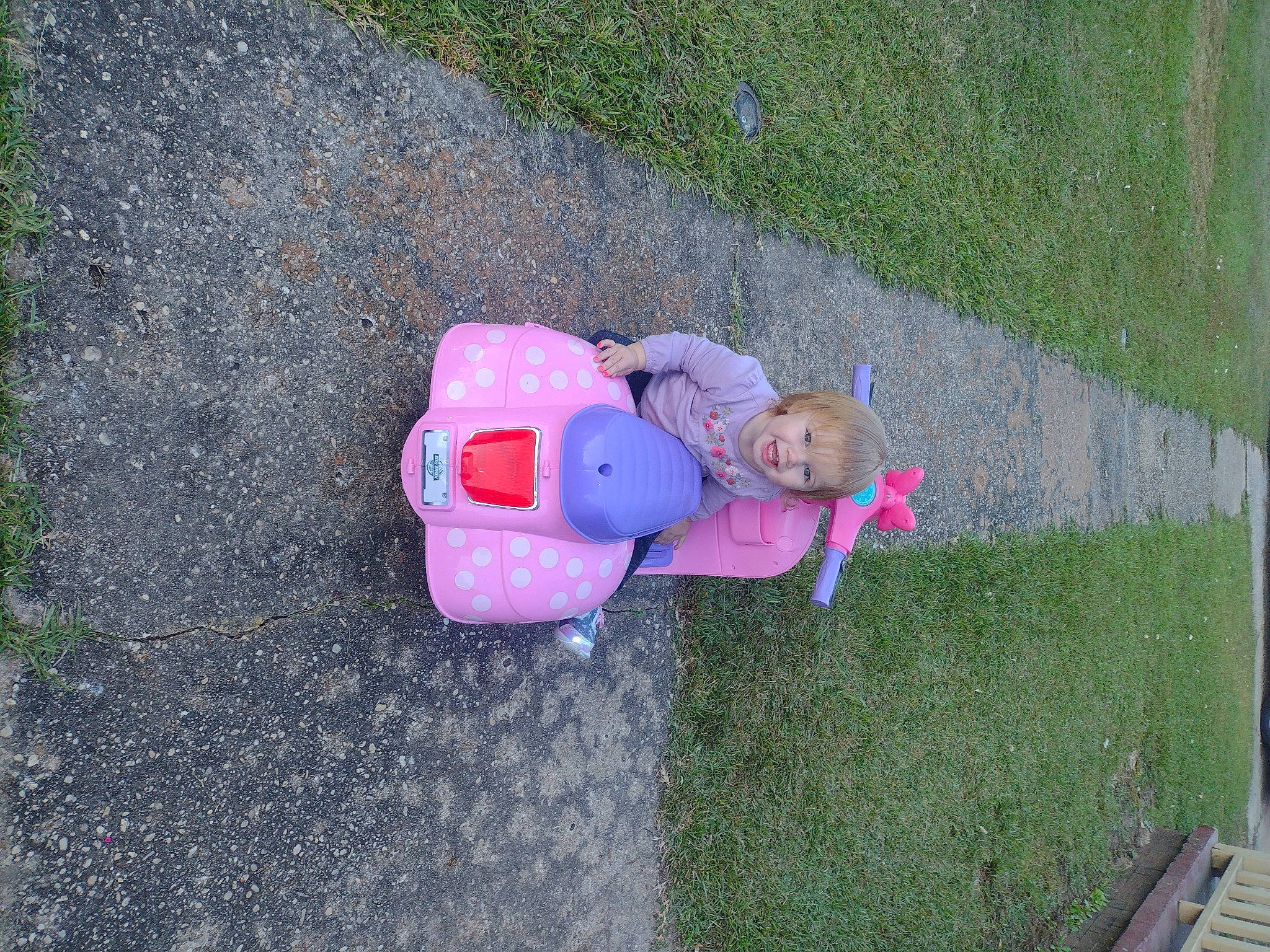 Aubriella joined the competition — help win amazing prizes! asphalt, baby, child, concrete, fun, grass, grass_family, lawn, leaf, leisure, magenta, people_in_nature, person, plant, recreation, road_surface, sidewalk, sitting, toddler, toy