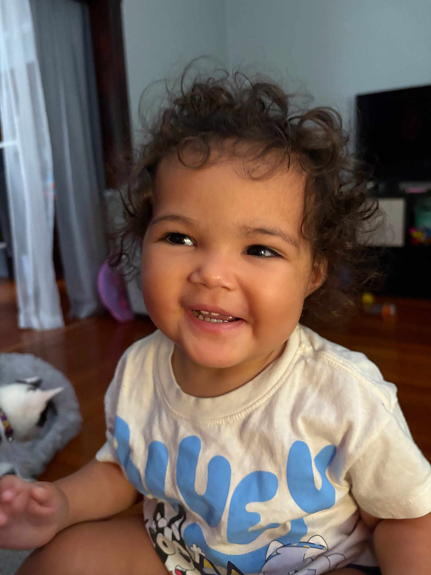 Raya joined the competition — help win amazing prizes! toddler, child, curly_hair, smiling, indoor, tshirt, happy, person, floor, cat, pet, bed, wooden_floor, cute, portrait, young_child, sitting, home, casual, playful