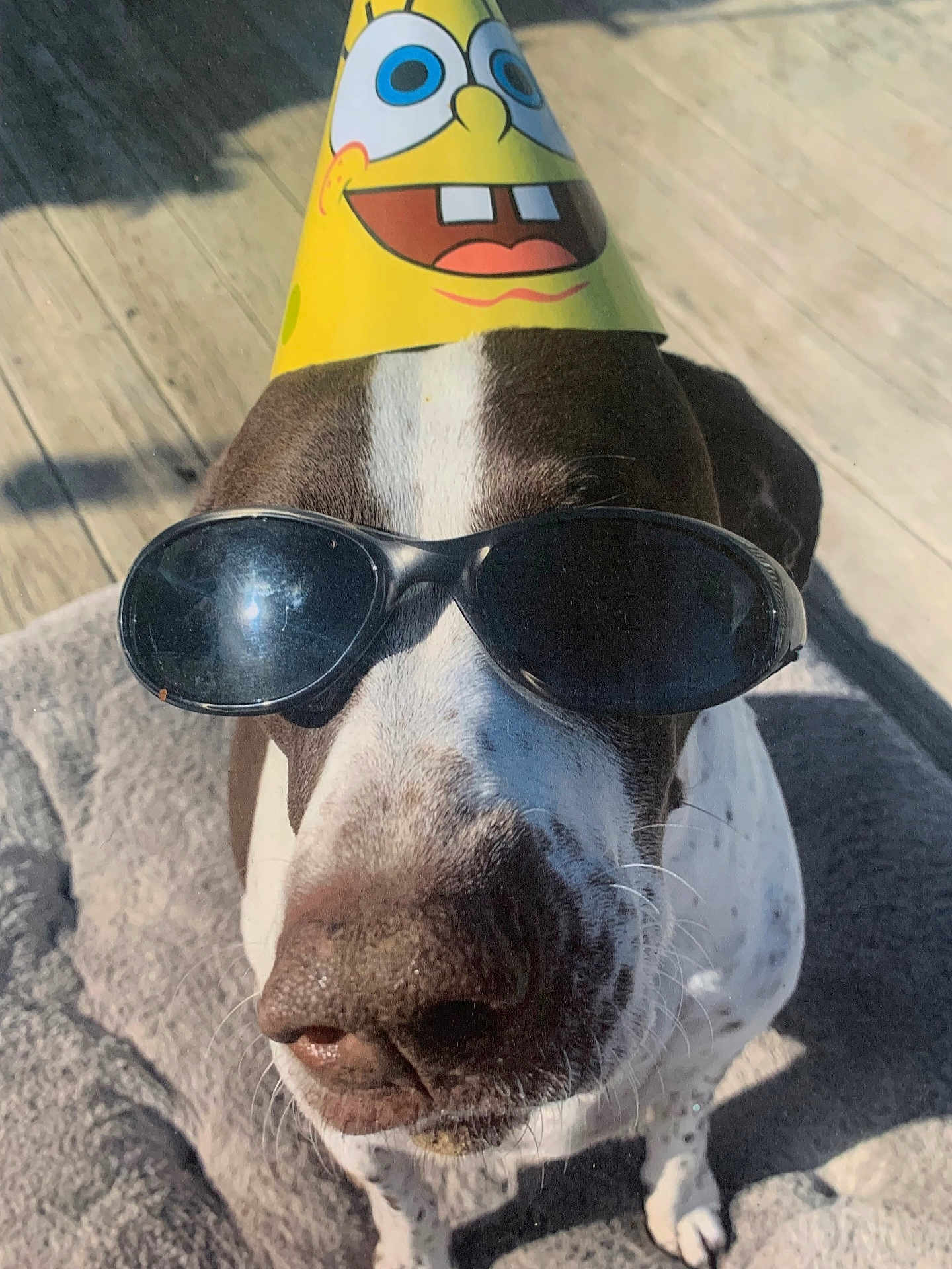 Doc
