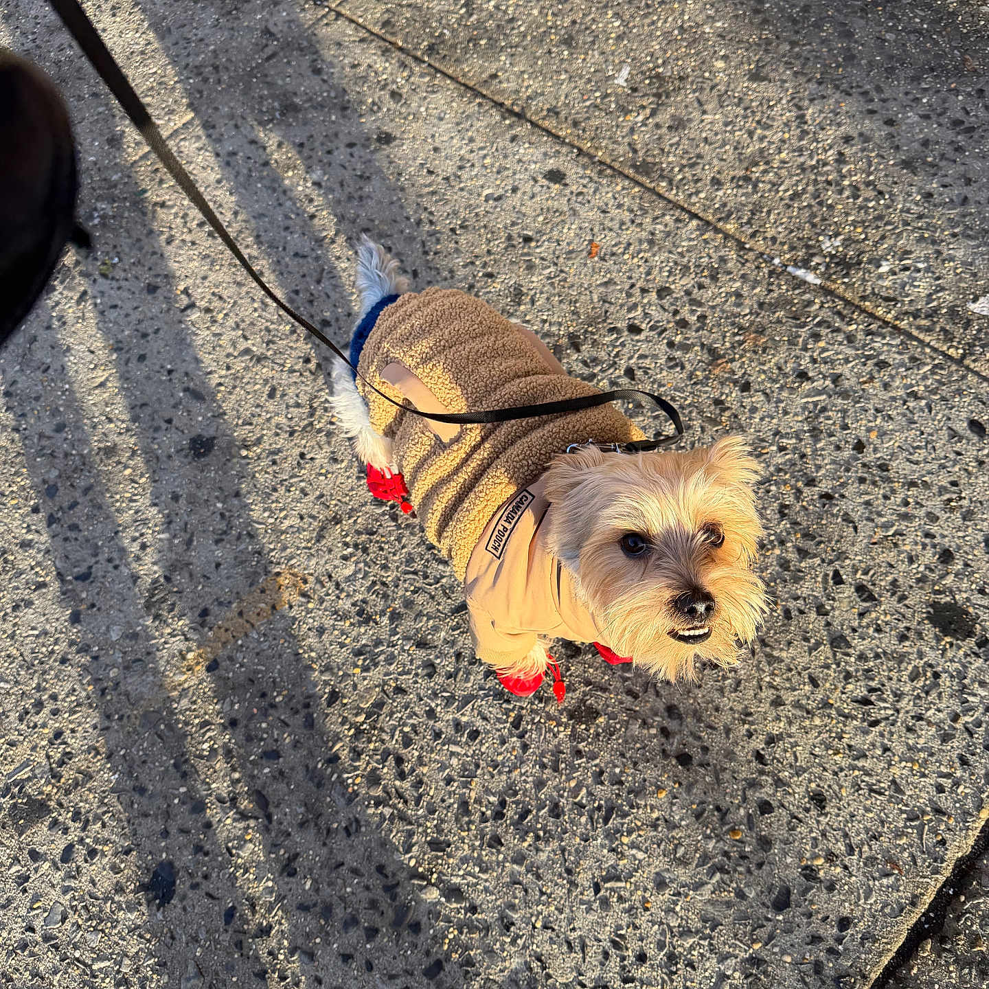 Harlem