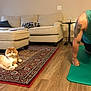 cat, fluffy, rug, living_room, sofa, cushion, blanket, lamp, floor_lamp, wood_floor, man, tattoo, green_tank_top, exercise_mat, workout, home_interior, table, glass, relaxation, funny