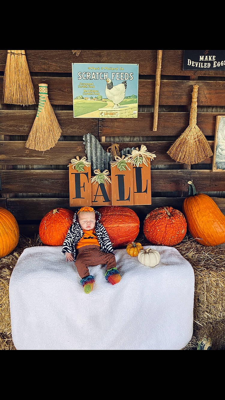 Miabella joined the competition — help win amazing prizes! calabash, calabaza, candy_corn, cucurbita, food, fruit, gourd, local_food, natural_foods, orange, person, plant, pumpkin, room, squash, still_life, still_life_photography, table, vegetable, vegetarian_food