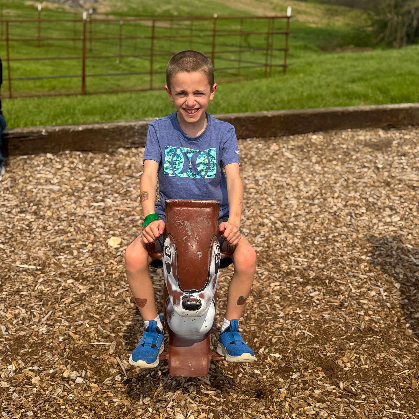 Hunter is registered to the contest to win money with this photo: child, boy, playground, spring_rocker, wood_chips, grass, outdoor, smiling, blue_shoes, casual_clothing, short_hair, daylight, fence, recreation, fun, happy, summer, toy, park, nature