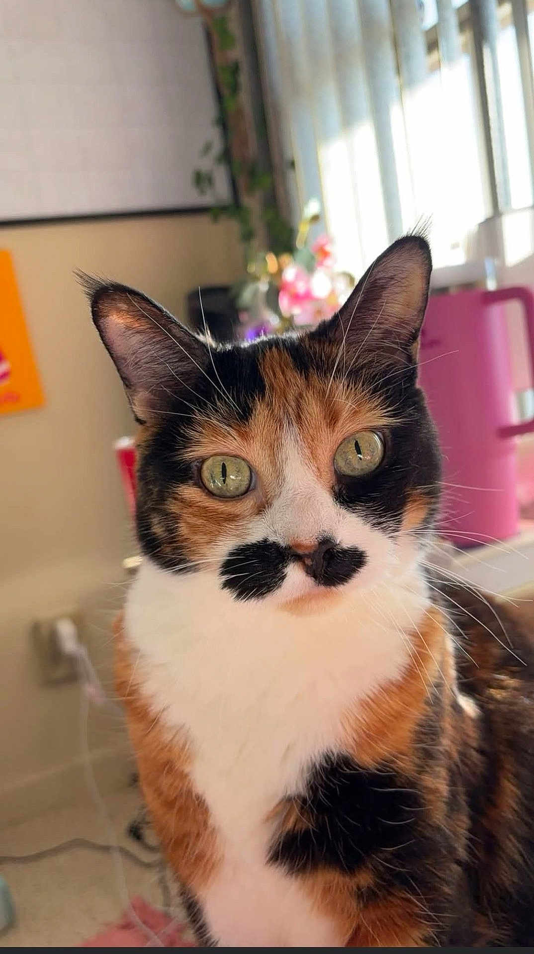 Millie