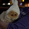 Autumn is registered to the contest to win money with this photo: