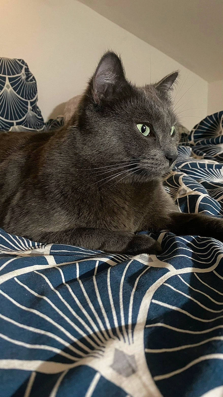 Sam