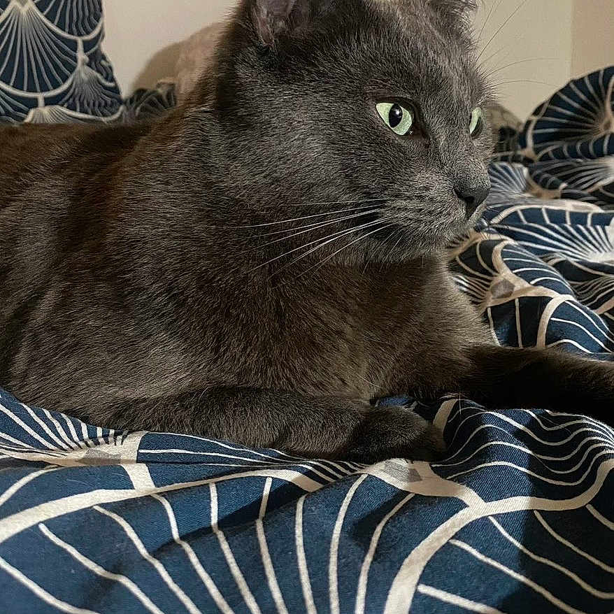 Sam