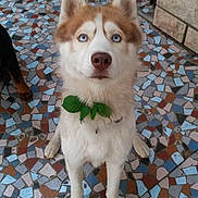 Jelly participe au concours pour gagner de l'argent avec cette photo :