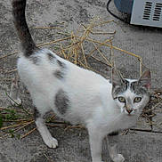 Titoune participe au concours pour gagner de l'argent avec cette photo :