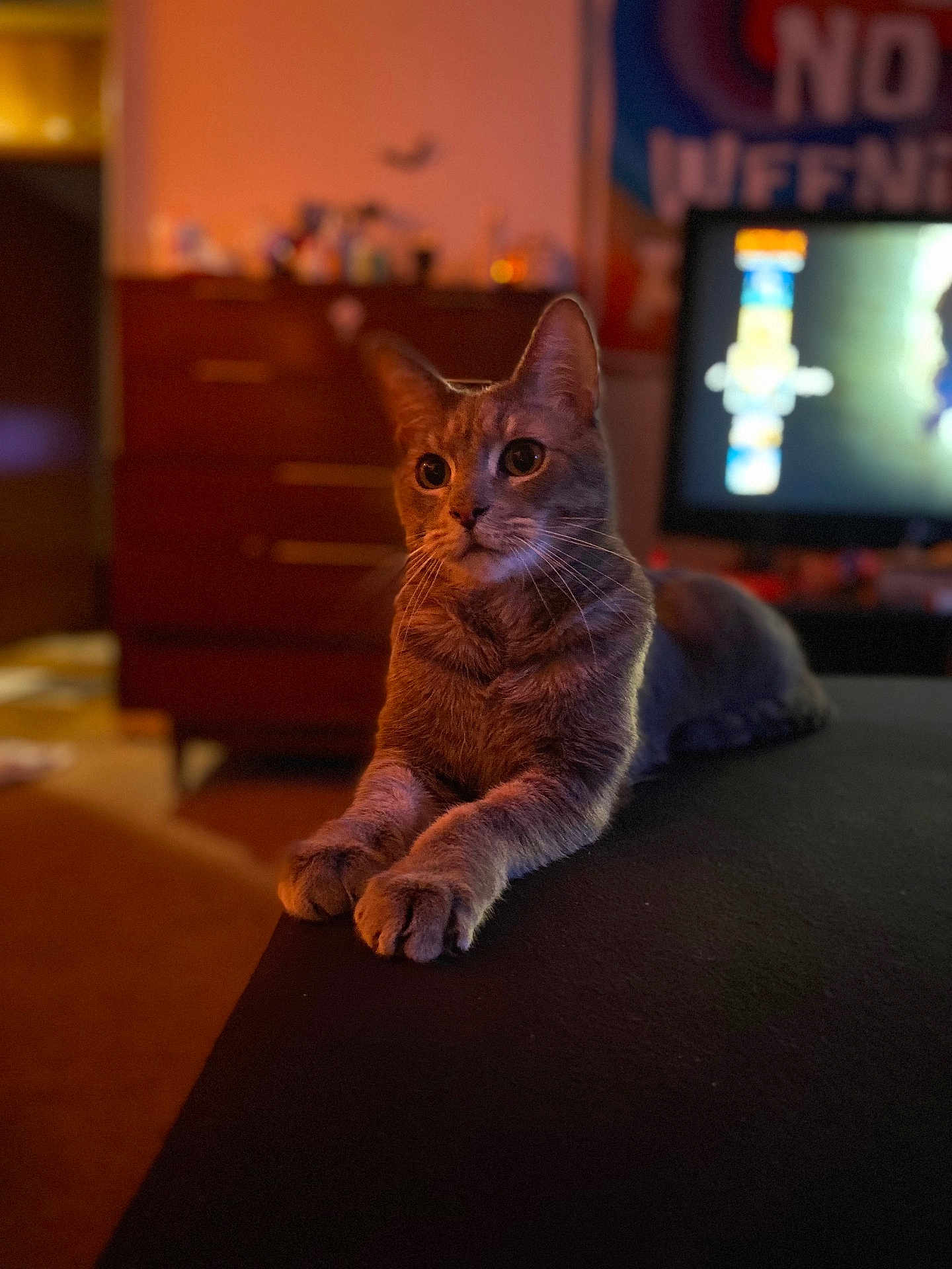 Tiggy