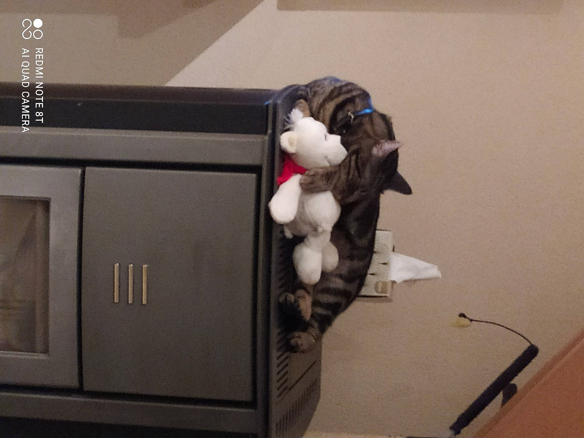 Lechat a rejoint le concours — aidez-le/la à gagner de superbes lots ! art, audio_equipment, box, cabinetry, carmine, carton, chest_of_drawers, collection, drawer, figurine, fur, machine, plush, room, stuffed_toy, teddy_bear, toy, visual_arts, wood