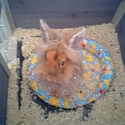 Calyssie participe au concours pour gagner de l'argent avec cette photo :