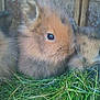 Calyssie participe au concours pour gagner de l'argent avec cette photo :