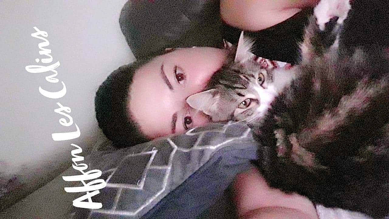 Oya participe au concours pour gagner de l'argent avec cette photo : black_hair, carnivore, cat, comfort, domestic_short_haired_cat, eye, eyelash, fashion_accessory, felidae, finger, fur, gesture, hand, nail, neck, pink, plant, skin, small_to_medium_sized_cats, whiskers