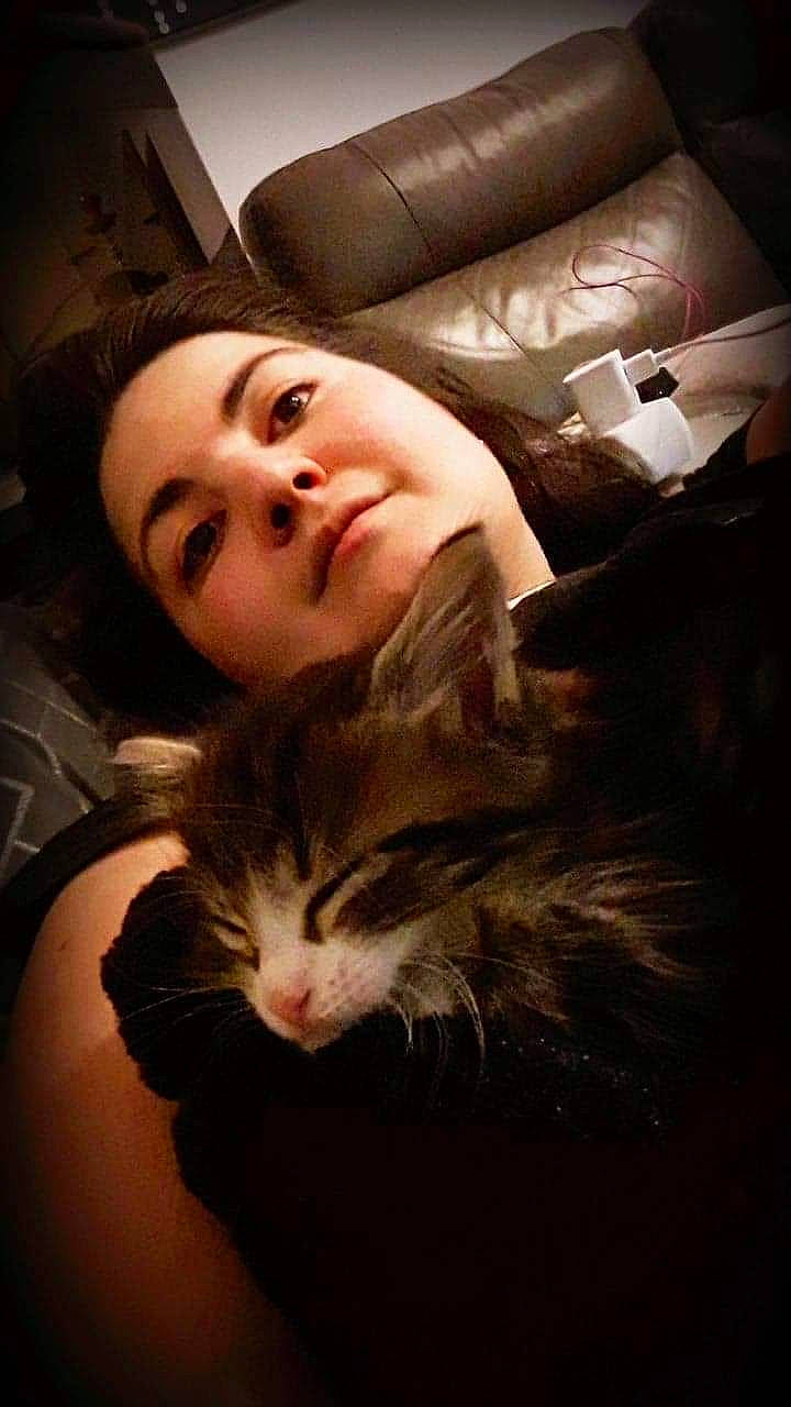 Oya a rejoint le concours — aidez-le/la à gagner de superbes lots ! beard, carnivore, cat, comfort, ear, eye, felidae, flash_photography, fur, hair, happy, head, long_hair, mammal, mouth, nose, organ, small_to_medium_sized_cats, vertebrate, whiskers