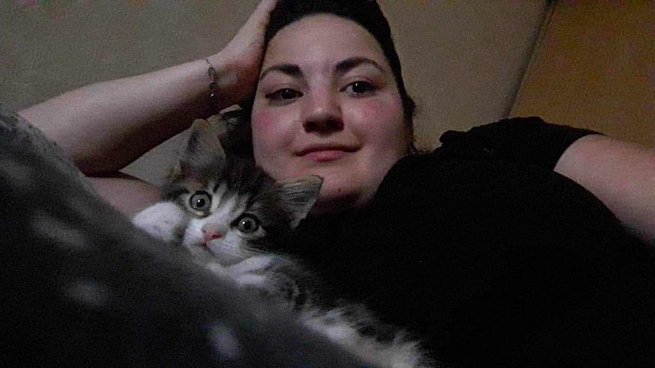 Oya participe au concours pour gagner de l'argent avec cette photo : black_hair, carnivore, cat, comfort, domestic_short_haired_cat, ear, eye, eyebrow, felidae, fur, gesture, hair, happy, iris, long_hair, nose, small_to_medium_sized_cats, smile, snout, whiskers