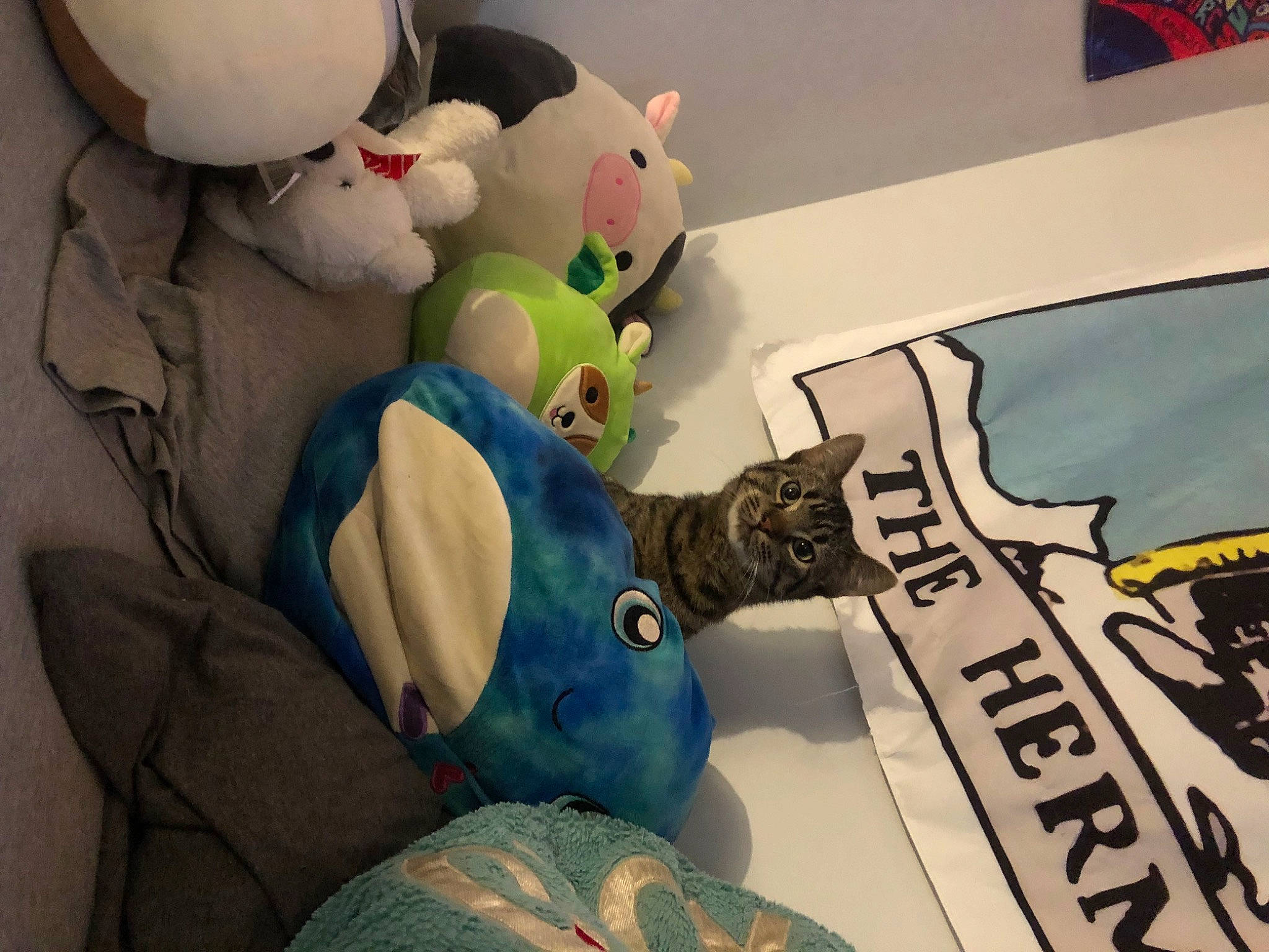 Angel joined the competition — help win amazing prizes! animation, art, comfort, fiction, fictional_character, font, graphics, illustration, linens, pattern, plastic, plush, room, stuffed_toy, t_shirt, textile, toy, visual_arts