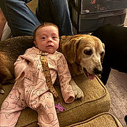 Rosaleigh is registered to the contest to win money with this photo: baby, dog, couch, onesie, pacifier, pet, person, jeans, living_room, furniture, home, relaxing, cute, indoor, animal, child, mammal, carpet, drawer, toy