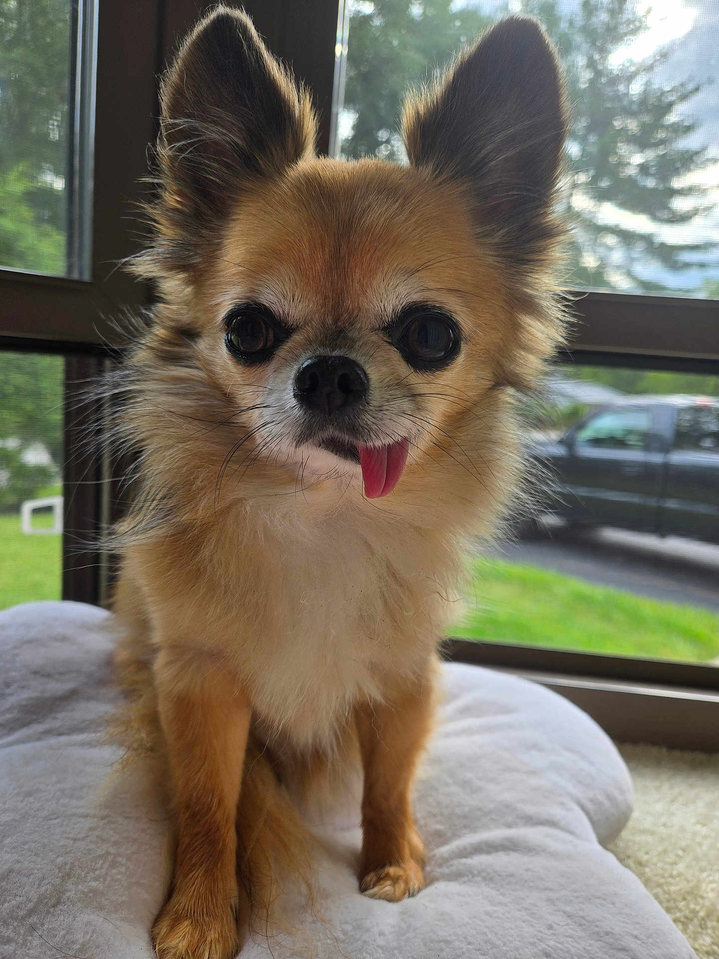 Bailey