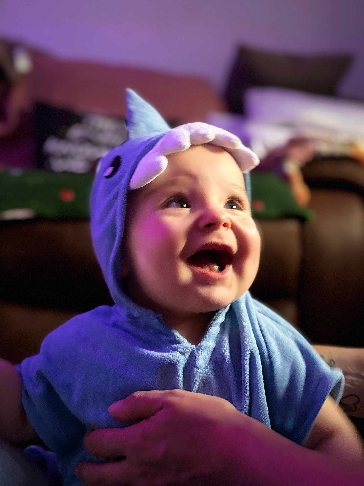 Enzo is registered to the contest to win money with this photo: baby, child, blue_shark_hood, hooded_towel, smiling, happy, indoor, portrait, face, hand, cute, soft_lighting, purple_light, clothing, toddler, expression, closeup, person, candid, warmth
