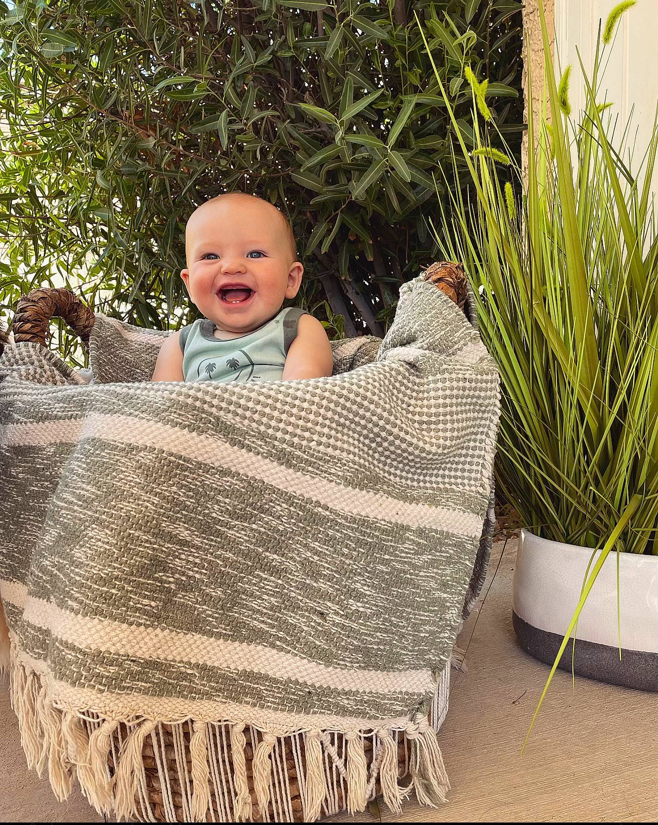 Tate joined the competition — help win amazing prizes! baby, baby_toddler_clothing, child, comfort, flooring, flowerpot, grass, grass_family, hairstyle, happy, joy, leaf, leisure, outdoor_furniture, pattern, people_in_nature, person, plant, sitting, smile
