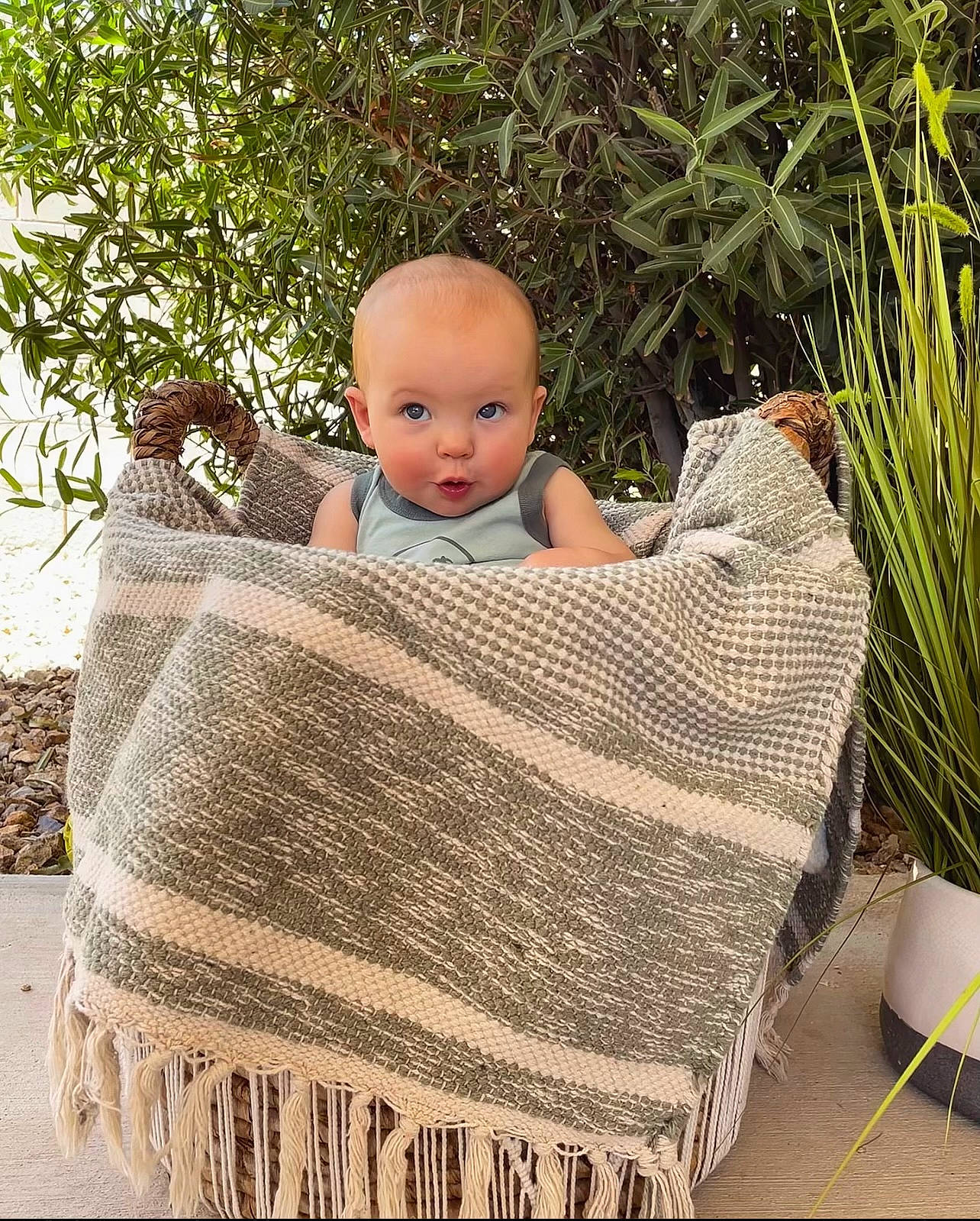 Tate joined the competition — help win amazing prizes! baby, baby_products, baby_toddler_clothing, child, comfort, flooring, grass, grass_family, leisure, linens, outdoor_furniture, pattern, people_in_nature, person, plant, rectangle, sitting, toddler, tree, wicker