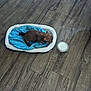 puppy, dog, pet_bed, blue_bed, white_bed, wooden_floor, milk, container, sleeping, cozy, small_dog, indoor, flooring, brown_dog, resting, cute, animal, domestic_pet, young_dog, quiet