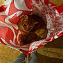 cat, container, cozy, curiosity, curled_up, cute, ears, floor_tiles, gray_pants, indoor, legs, looking_up, orange_tabby, patterned_bag, person, pet, shopping_bag, socks, soft_lighting, whiskers