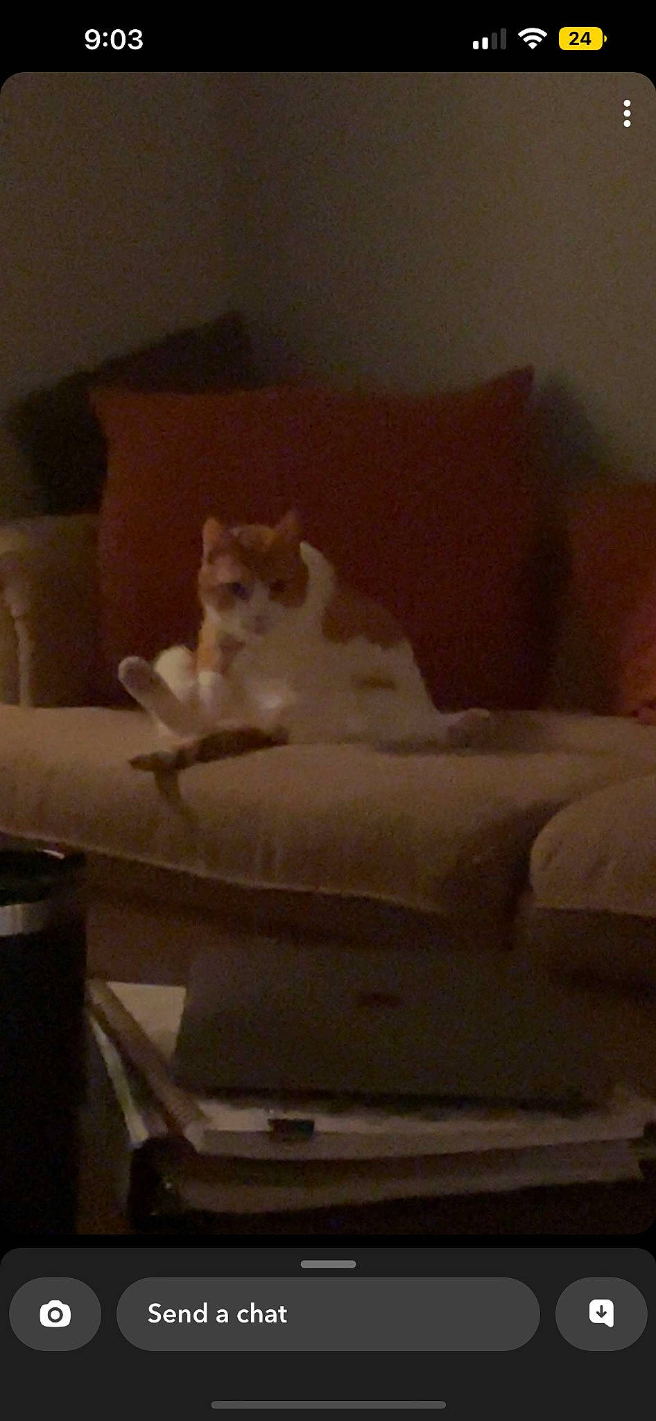 Garfield joined the competition — help win amazing prizes! carnivore, cat, cat_supply, comfort, companion_dog, darkness, domestic_short_haired_cat, felidae, flooring, fur, hardwood, paw, room, small_to_medium_sized_cats, tail, tints_and_shades, whiskers, wood