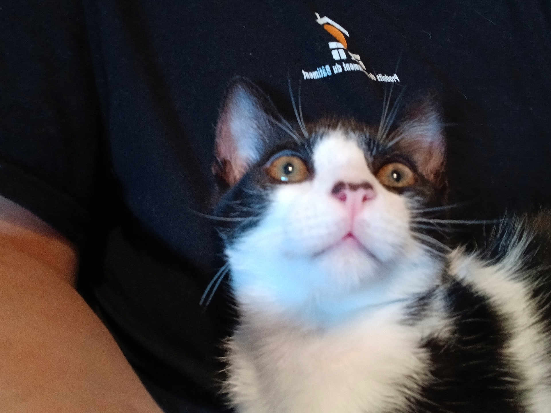 Oreo
