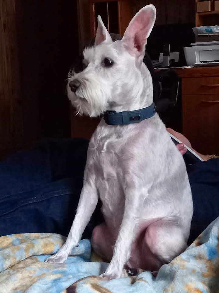 Jack