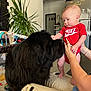 baby, black_dog, child, clothing, couch, cute, dog, face, family, furniture, hands, home, human, indoor, interaction, nike, person, pet, plant, playful