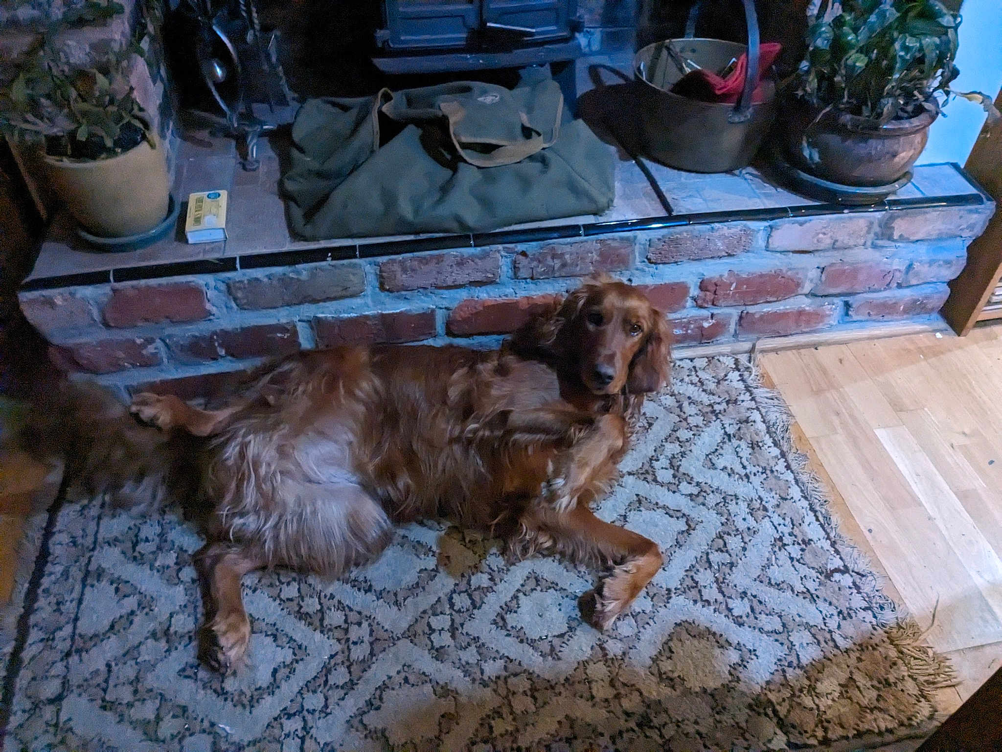 Reba