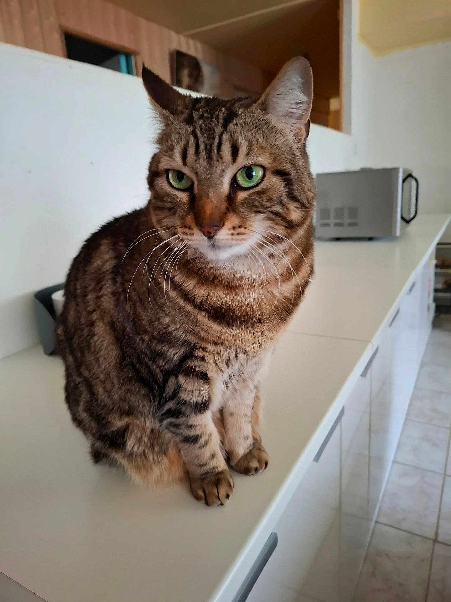 Maddy