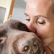 Mâlo a rejoint le concours — aidez-le/la à gagner de superbes lots ! affection, animal, brown_dog, closeup, dog, expression, face, friendly, hand, human, indoor, intimacy, kiss, love, nose, person, pet, portrait, skin, snout