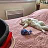 cat, bed, pink_bedspread, toy_mouse, stuffed_animals, bedroom, furniture, window, basin, relaxed, indoor, pet, cozy, table, clock, carpet, white_cat, fluffy, stretching, home