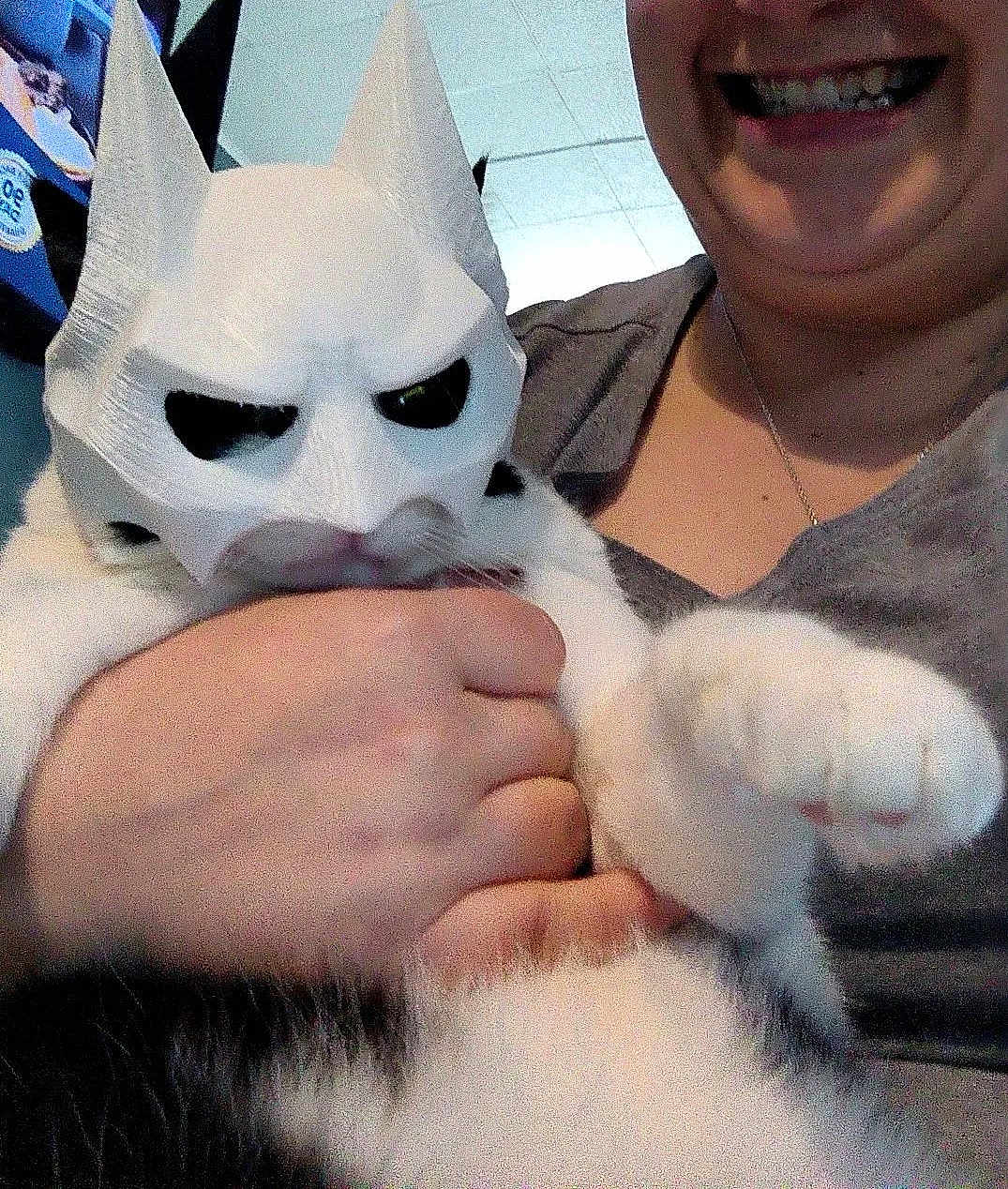Pork Chop joined the competition — help win amazing prizes! cat, mask, person, hand, smile, costume, indoor, pet, black_and_white_cat, holding, funny, animal, feline, face, paw, clothing, portrait, happy, casual, closeup