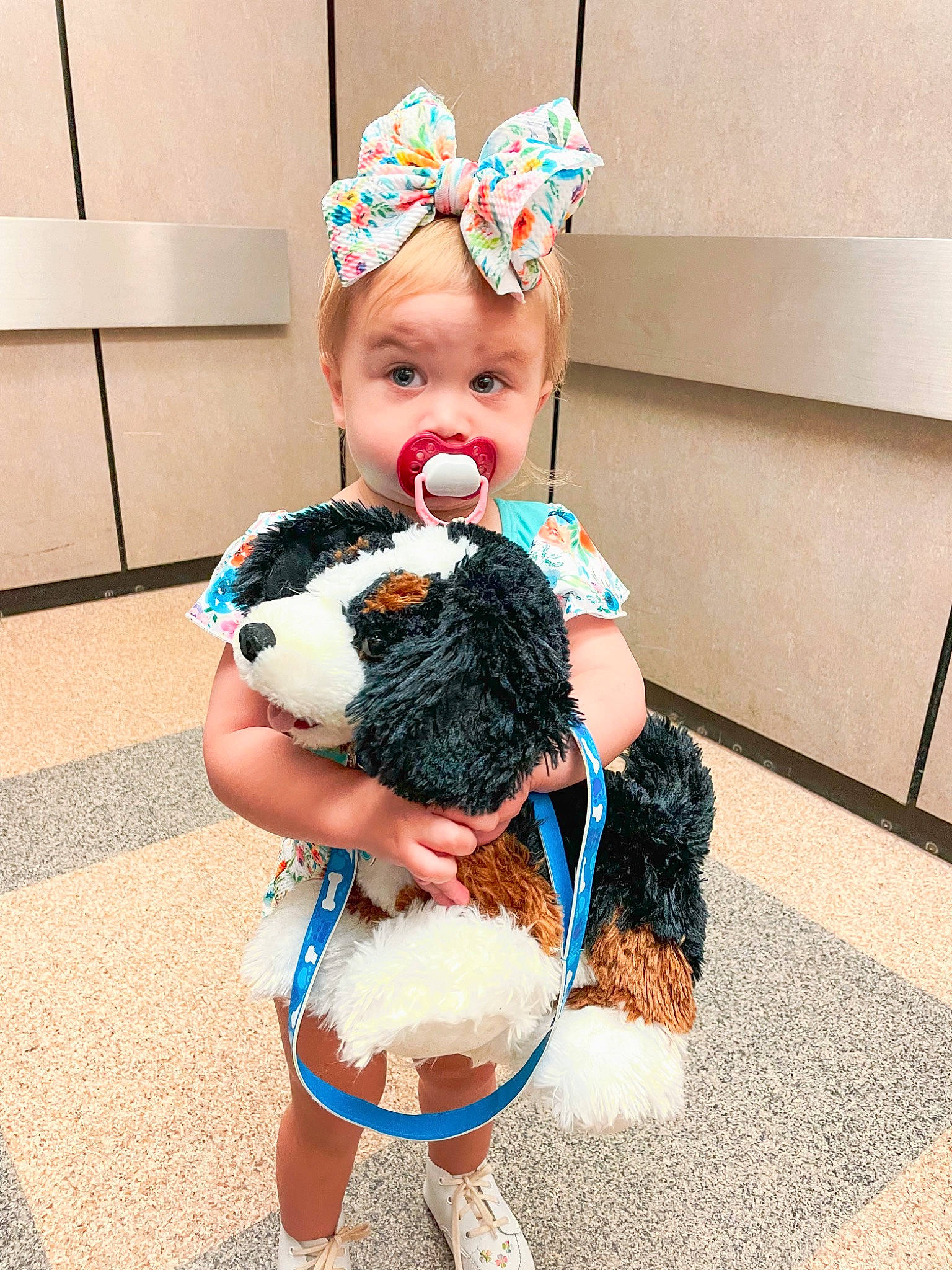 Ireland joined the competition — help win amazing prizes! baby, baby_toddler_clothing, cap, carnivore, companion_dog, costume, costume_hat, dog, dog_breed, dog_clothes, finger, fun, fur, happy, human_body, human_leg, mammal, person, thigh, toddler